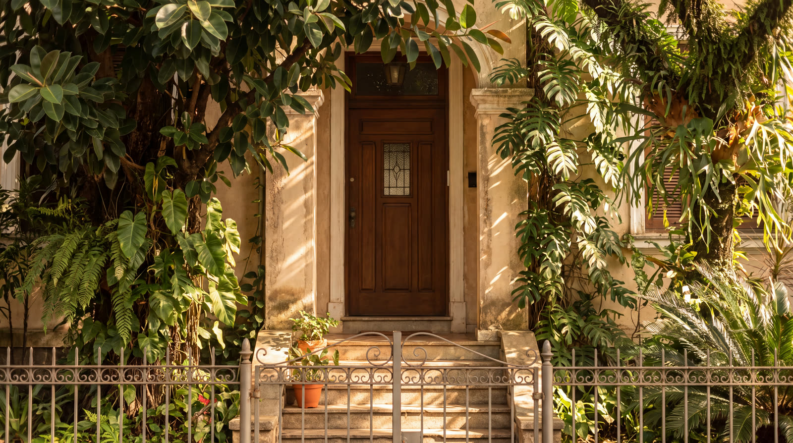 The house from the first scene, plants taking over the entrance